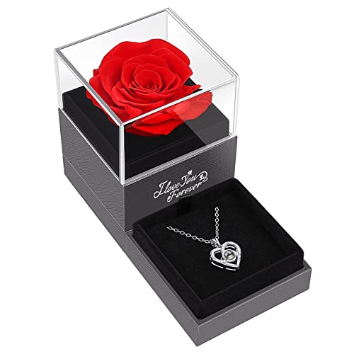 Eternal Red Preserved Rose with I Love You Necklace - ASELFAD Real Rose Gifts for Mom, Wife, Girlfriend - Perfect Anniversary, Mother's Day, Valentine's Day, Christmas, Birthday Gifts for Women