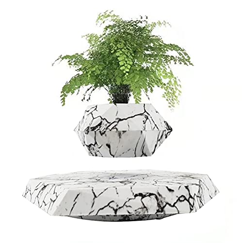 KIYOMING Floating Plant Pot Planter Suspension Air Bonsai Pot Flower Pot Levitating Plant Pot for Home Office