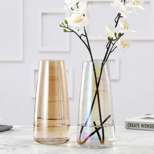 Aoderun Flower Glass Vase for Decor Home Handmade Modern Large Flower Vases for Centerpieces Living Room Kitchen Office Wedding 8.7 Inch (Iridescent Clear)