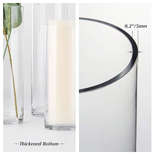 WGV Tall Cylinder Glass Vase, 3" W x 16" H, [Multiple Sizes Choices] Clear Bud Candle Holder Planter Terrarium for Wedding Party Flower Vase Centerpieces Home Accent Decor, 1 Piece