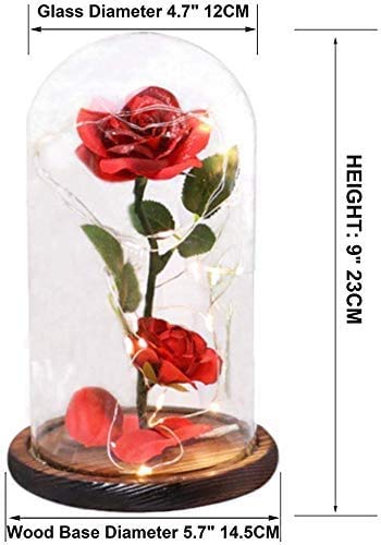 URBANSEASONS Beauty and The Beast Rose Flowers,Women Gifts Idea Birthday, Unique Gifts for Her,Anniversary Rose Gift Decorations Artificial Flower Gift Romantic Red Silk Rose, Flower in Glass Dome