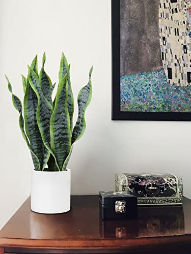 Briful Fake Snake Plant 16" Faux Potted Plant Artificial Snake Plant with White Ceramic Pot Sansevieria Plant Perfect for House Modern Living Room Office Housewarming Gift Indoor Decor