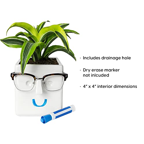 30 Watt Face Plant, Novelty Planter Holds Small Plants, Glasses & You Can Draw on It. Elegant Ceramic Pot for Succulents, Cacti or Your Average Fern, Perfect Gifting