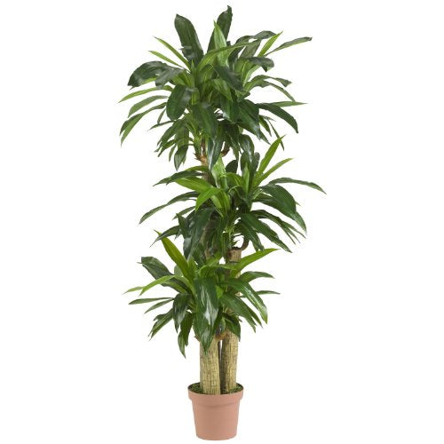 Nearly Natural - 6584 62in. Corn Stalk Dracaena Silk Plant (Real Touch), 24" x 28" x 62", Green