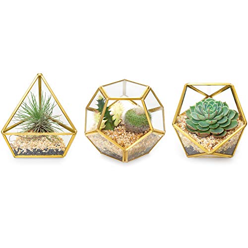 Mkono 4 Inches Mini Glass Geometric Terrarium Container Set of 3 Modern Tabletop Planter Shelves Decor Display Centerpiece for Succulent Miniature Fairy Garden Air Plant, Gold (Plant Not Included)