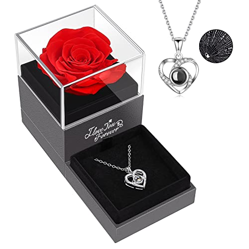 Eternal Red Preserved Rose with I Love You Necklace - ASELFAD Real Rose Gifts for Mom, Wife, Girlfriend - Perfect Anniversary, Mother's Day, Valentine's Day, Christmas, Birthday Gifts for Women