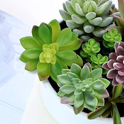 Anoak Artificial Succulent Plants - 16 Pcs Set Faux Succulents Unpotted Fake Succulent Plants, Premium Crafting DIY Floral Decor for Home Garden Office Party (High Realistic)