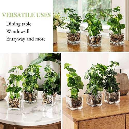 MyGift Set of 3 Artificial Plants, Faux Tabletop Greenery w/Clear Glass Pots