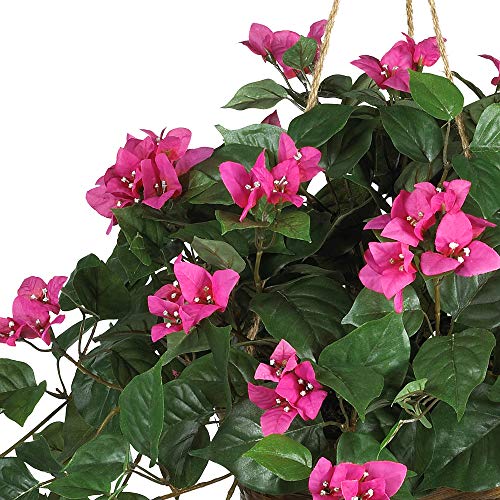 Nearly Natural Bougainvillea Basket Silk 1 Artificial Hanging Plant, 32 x 32 x 24, Green, Pink