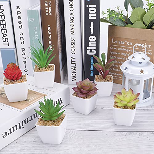 CEWOR Artificial Succulents Plants, 6pcs Mini Fake Potted Plants in Pots, Faux Mini Succulents Plants Indoor for Desk Living Room Bedroom Windowsills Office Home Decoration