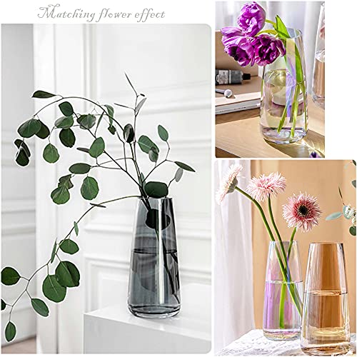 FANTESTICRYAN Modern Glass Vase Irised Crystal Clear Glass Vase for Home Office Decor (Crystal Grey)