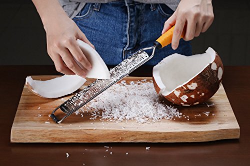 Deiss PRO Lemon Zester & Heavy Duty Cheese Grater & Vegetable Grater — Parmesan Cheese Lemon, Garlic, Nutmeg, Chocolate, Fruits, Vegetables, Ginger Grater - Cheese Shredder & Stainless Steel Grater