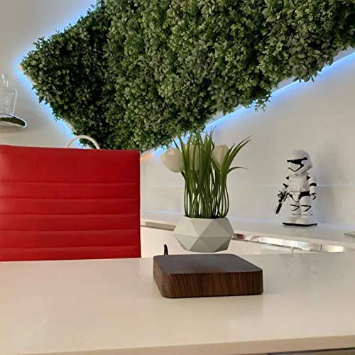 Magnetic Levitation Air Bonsai Pot, Mini Sky-Garden Rotating Flower Pot Planter, Magnetic Levitating Suspension Floating Pot, Potted Plant Home Living Room Office Decoration Gifts (Dark Wood)