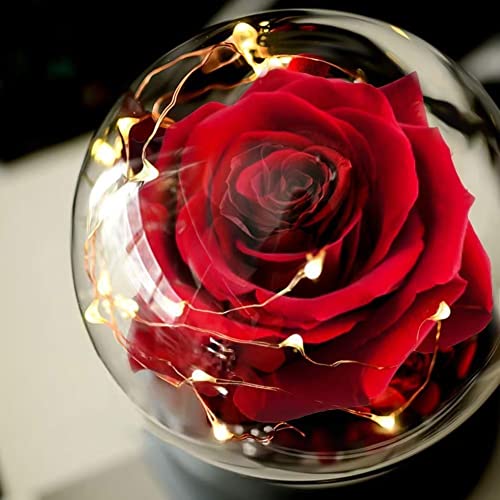 Beauty and The Beast Rose Gift for Women Flower Gifts,Artificial Flower Rose Light Up Rose in A Glass Dome,Women Gifts for Her,Valentines,Anniversary