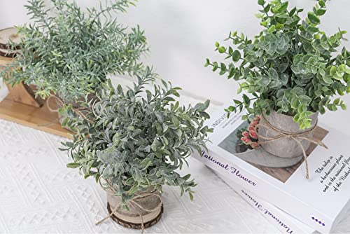 JC nateva Small Fake Plants Mini Potted Artificial Plants Indoor for Home Office Farmhouse Kitchen Bathroom Table Decor