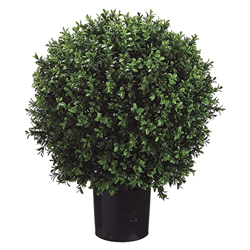 Set of 2 - Pre-Potted 24" High Ball Shaped Boxwood Topiary- 16" Diameter - Plastic Pot