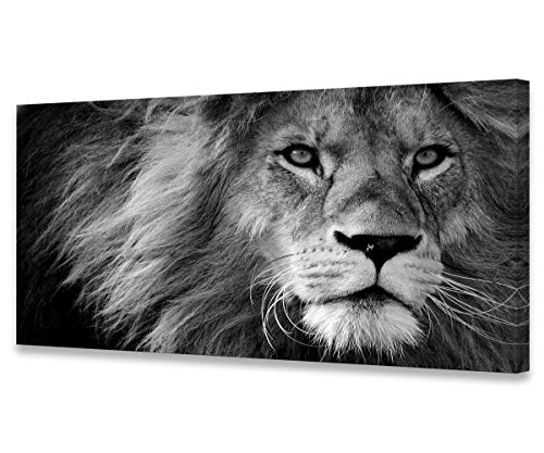 Modern Giclee Canvas Prints Stretched Artwork Black and White Lion Pictures to Photo Paintings on Canvas Wall Art for Home Office Decorations Wall Décor XXLarge 30x60inch