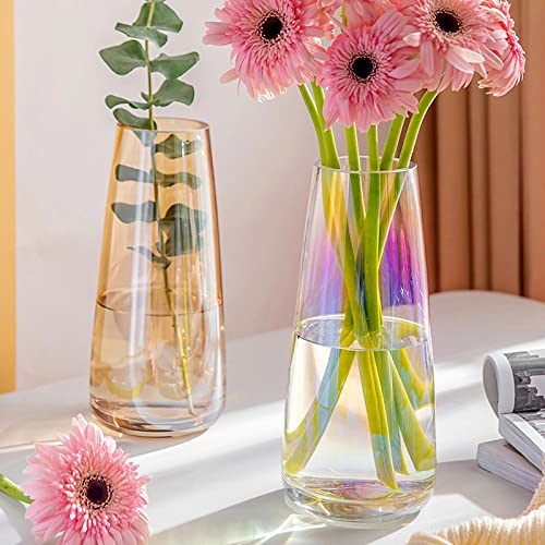 Aoderun Flower Glass Vase for Decor Home Handmade Modern Large Flower Vases for Centerpieces Living Room Kitchen Office Wedding 8.7 Inch (Iridescent Clear)