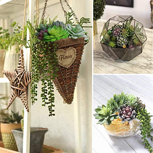 Anoak Artificial Succulent Plants - 16 Pcs Set Faux Succulents Unpotted Fake Succulent Plants, Premium Crafting DIY Floral Decor for Home Garden Office Party (High Realistic)