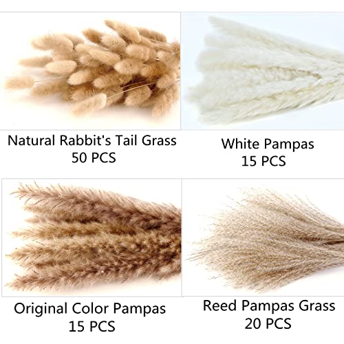 Dried Pampas Grass Decor, 100 PCS Pampas Grass Contains Bunny Tails Dried Flowers, Reed Grass Bouquet for Wedding Boho Flowers Home Table Decor, Rustic Farmhouse Party (White and Brown)