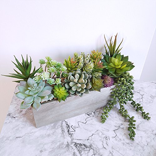 A close-up view of a collection of 14 vibrant artificial succulents bulk in various shapes and colors, beautifully arranged  for home decor.