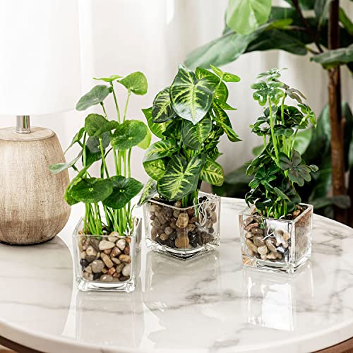 MyGift Set of 3 Artificial Plants, Faux Tabletop Greenery w/Clear Glass Pots