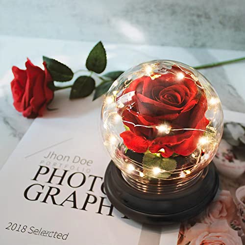 Beauty and The Beast Rose Gift for Women Flower Gifts,Artificial Flower Rose Light Up Rose in A Glass Dome,Women Gifts for Her,Valentines,Anniversary