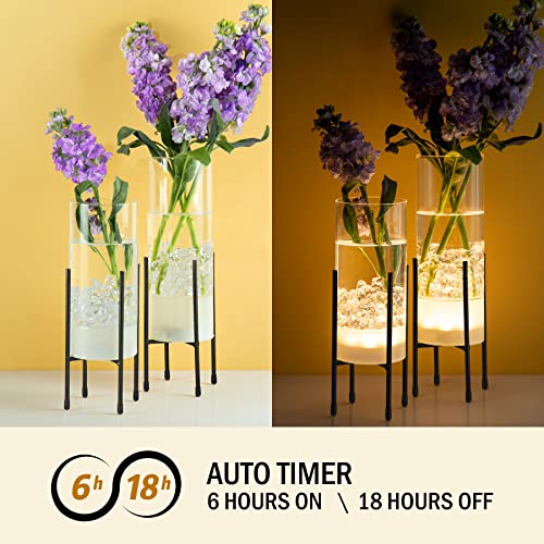 Flower Vase for Decor, Glass Table Vase Set for Flowers Plants, Clear Vase with Black Stand, Modern Decorative with Timer LED Lights Battery Operated,Centerpiece/Wedding/Party(Set of 2)