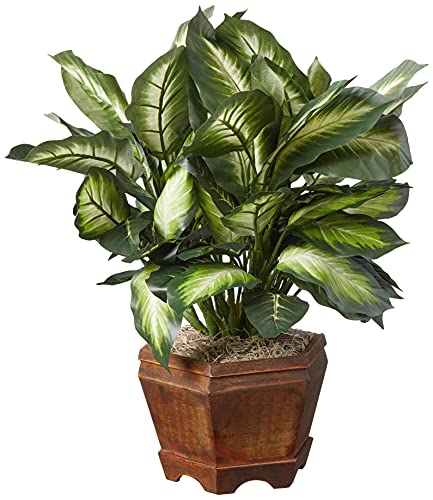 Nearly Natural Triple Golden Dieffenbachia with Wood Vase, Green, 20" x 18" x 22"