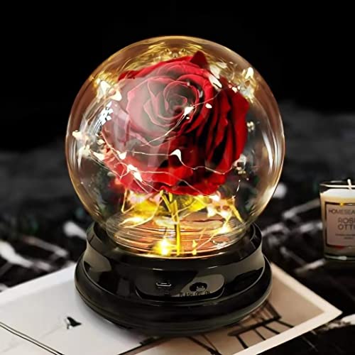 Beauty and The Beast Rose Gift for Women Flower Gifts,Artificial Flower Rose Light Up Rose in A Glass Dome,Women Gifts for Her,Valentines,Anniversary