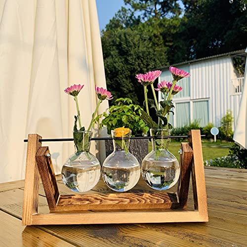 Kingbuy Plant Propagation Stations Terrarium Glass Desktop Planter with Retro Wooden Stand 3 Bulb Vases for Hydroponics Indoor Office Desk Home Decor, Plant Holder Lover Gifts for Women