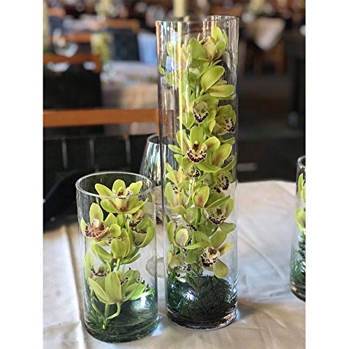 WGV Tall Cylinder Glass Vase, 3" W x 16" H, [Multiple Sizes Choices] Clear Bud Candle Holder Planter Terrarium for Wedding Party Flower Vase Centerpieces Home Accent Decor, 1 Piece