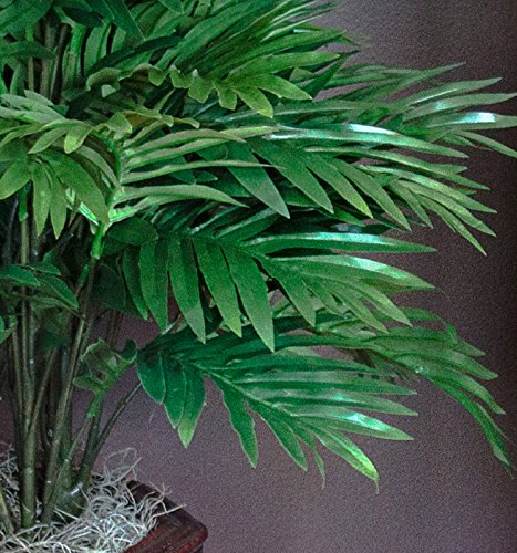 Nearly Natural Areca Palm with Vase Silk Artificial Plant, 42" x 11" x 11", Green - 6651