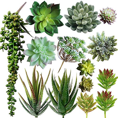 A close-up view of a collection of 14 vibrant artificial succulents bulk in various shapes and colors, beautifully arranged  for home decor.