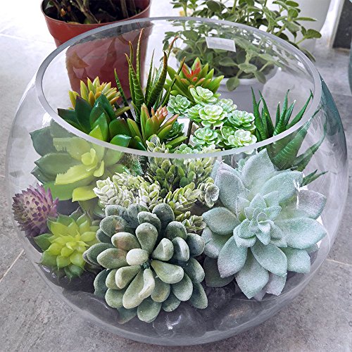 A close-up view of a collection of 14 vibrant artificial succulents bulk in various shapes and colors, beautifully arranged  for home decor.